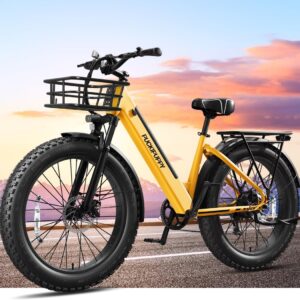 Electric Bike for Adults