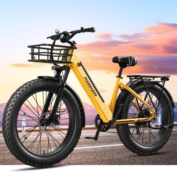 Electric Bike for Adults